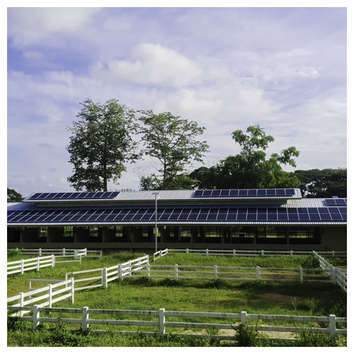 Agrivoltaics  Commercial Solar Systems