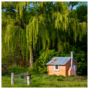 Off Grid Hunting Cabin 